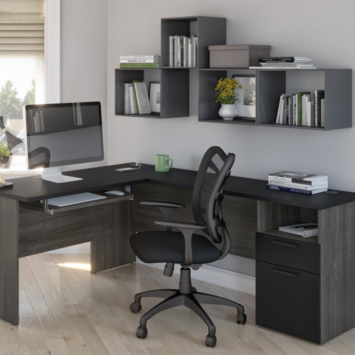 The Norma Collection