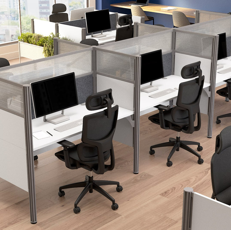 The Pro-Biz Collection