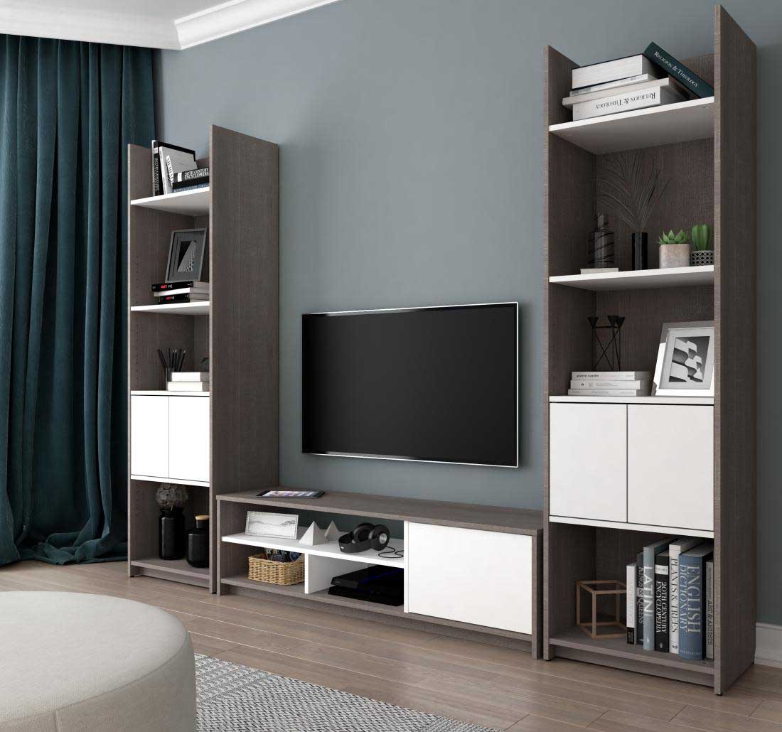 Modern TV Stand