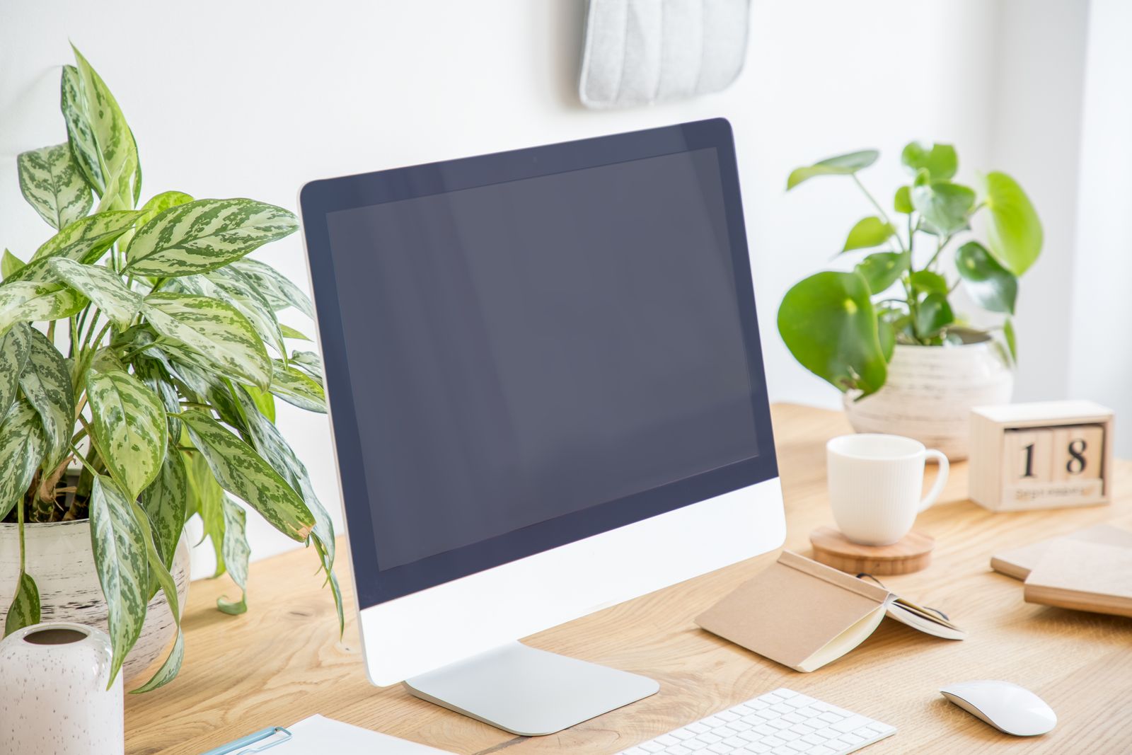 Les plantes au bureau