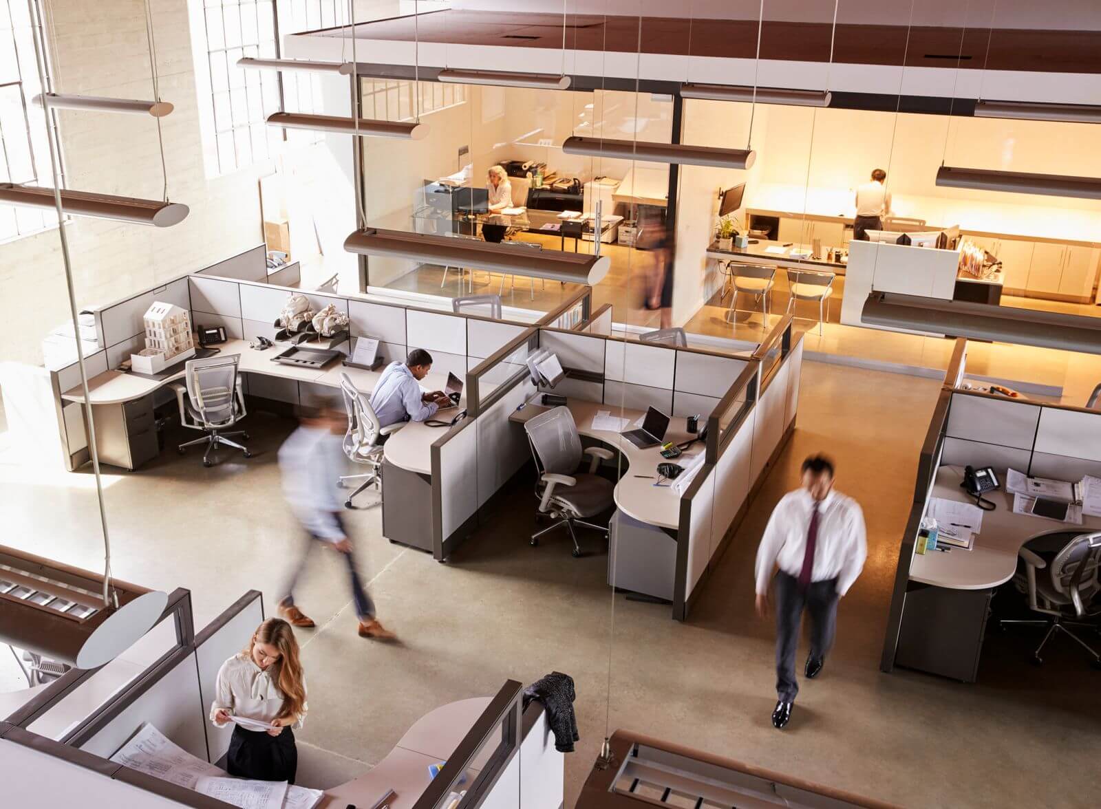 Office cubicles with workers