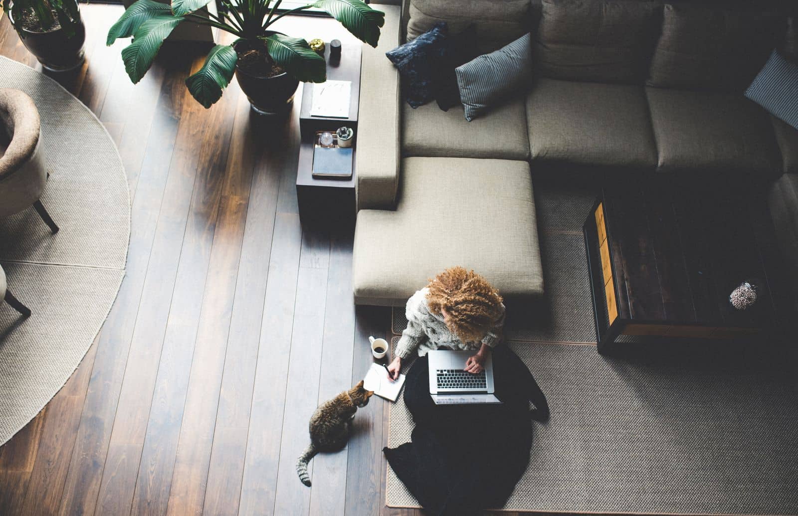 Femme qui fait du télétravail dans son salon avec son chat