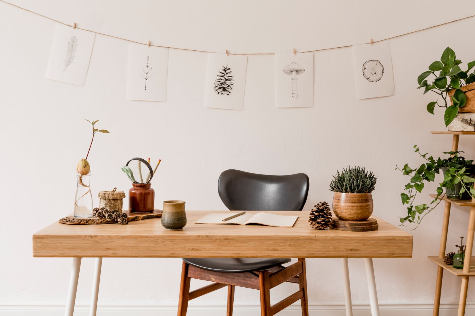 Bureau à domicile avec des plantes