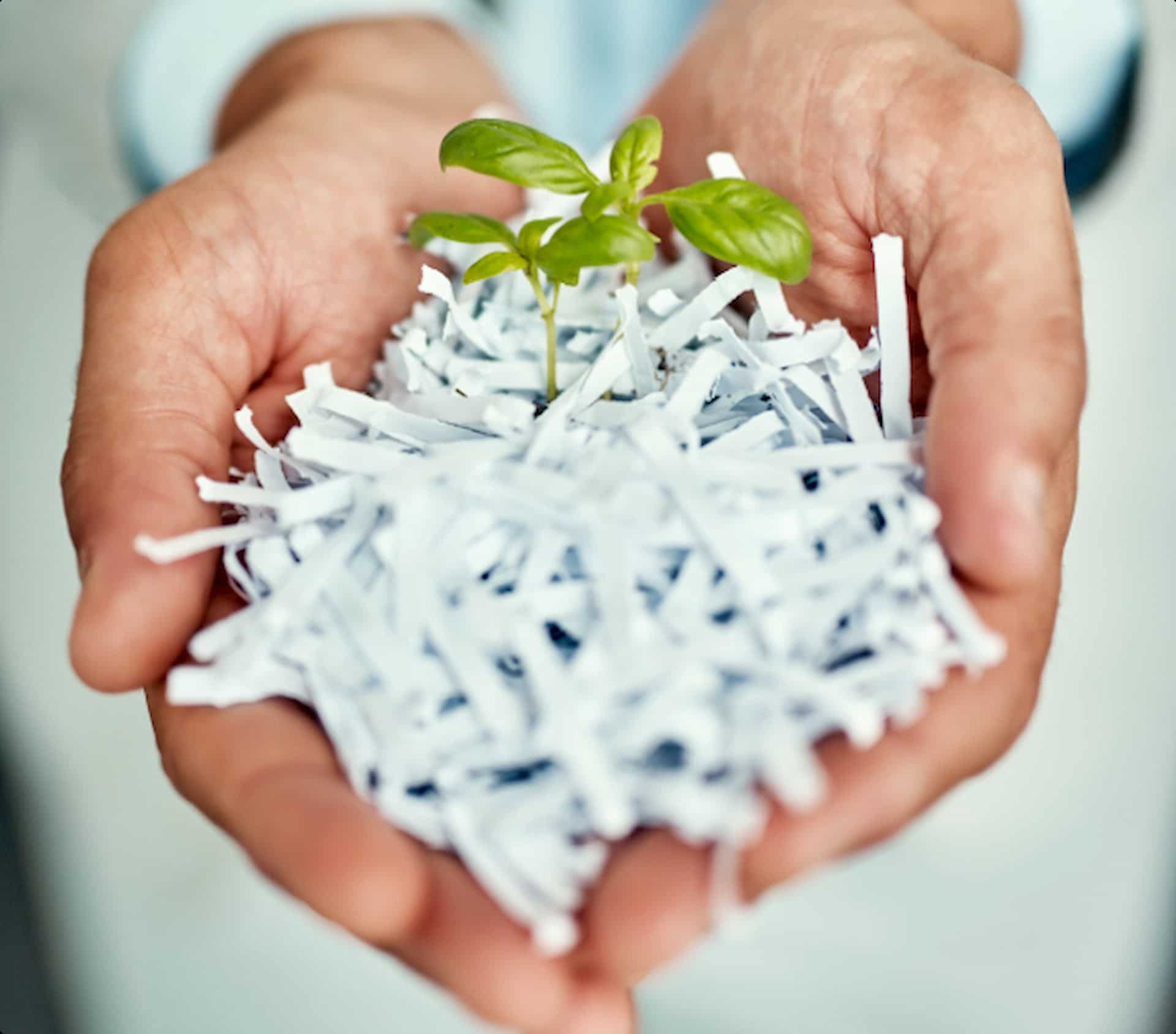 Man with cutted paper in his hands