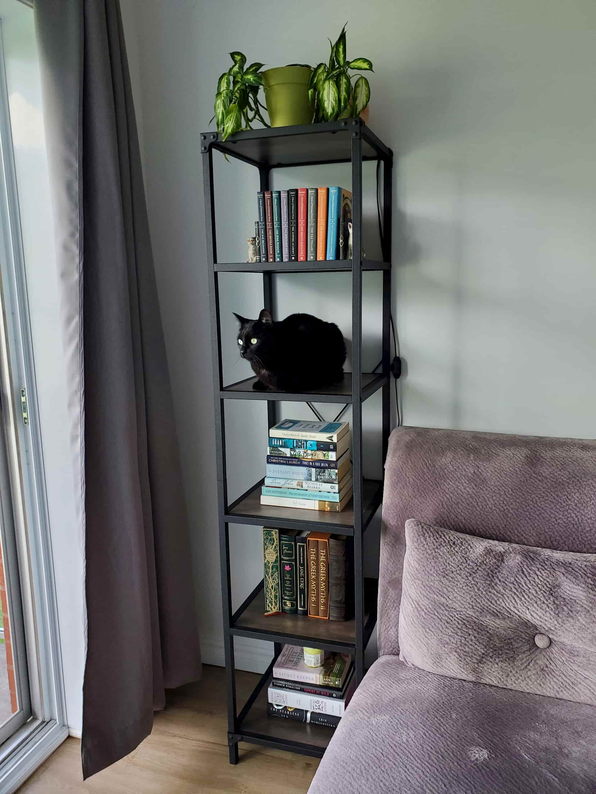 Small shelving unit