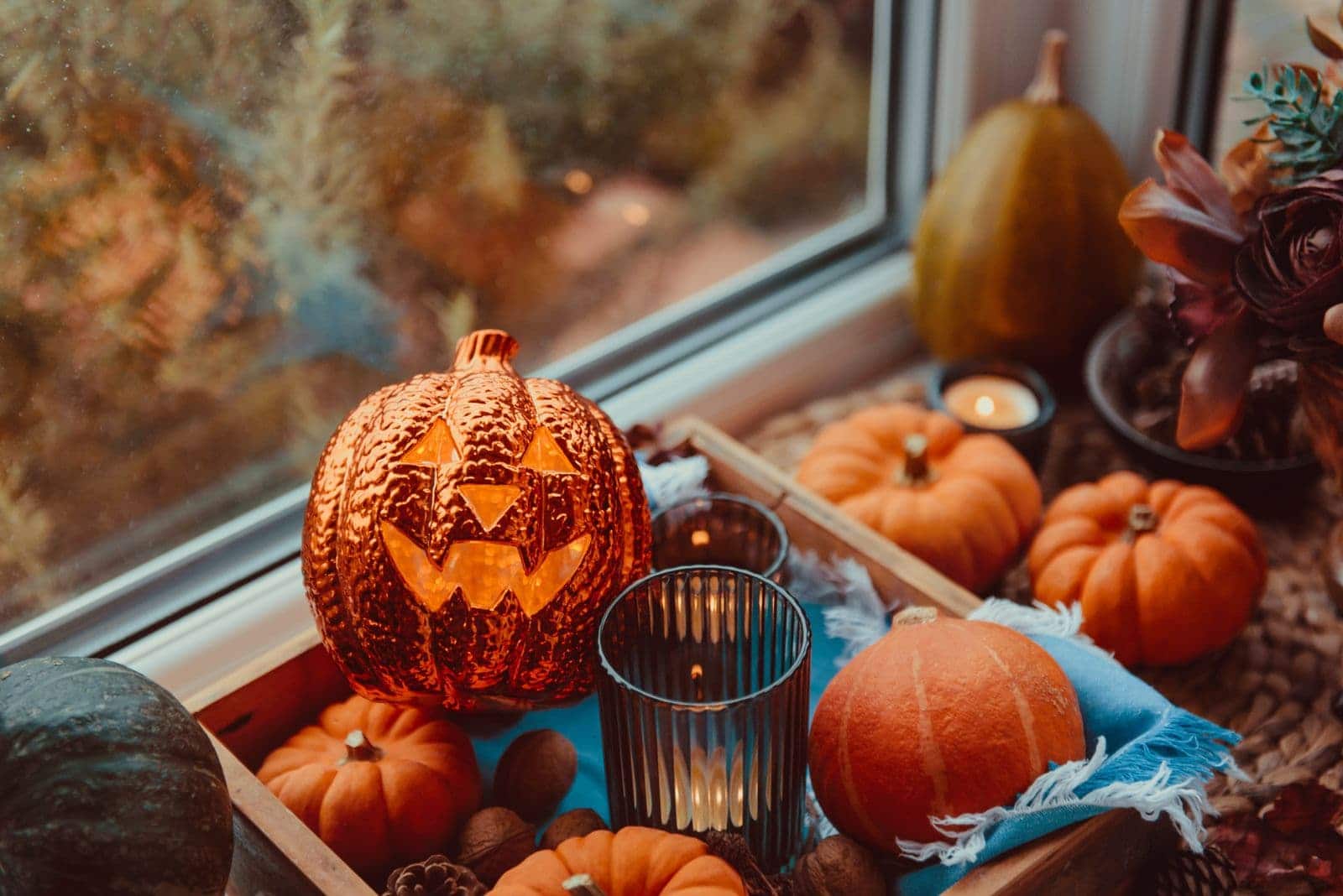 Decorative pumpkins in windowsill