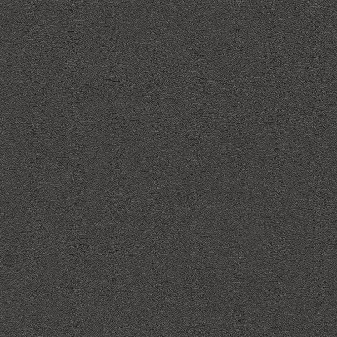 Light Gray Leather