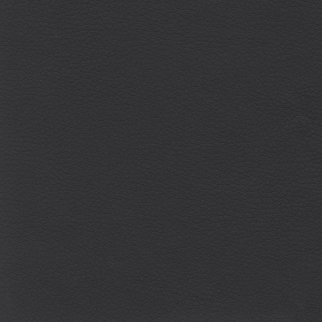 Black Leather